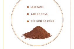 Bột Cacao nguyên chất
